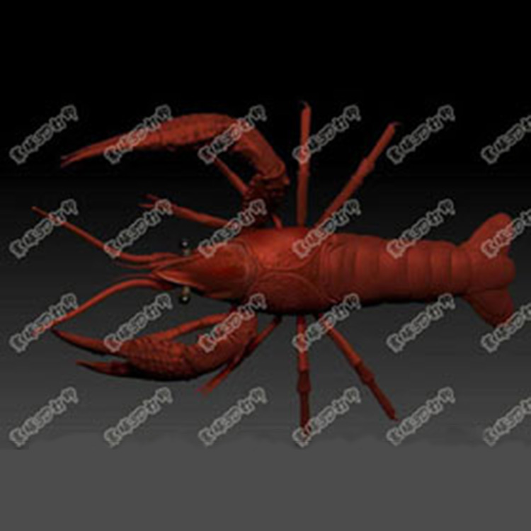 小龙虾3D打印模型
